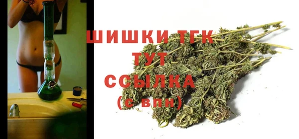 прущие грибы Михайловск