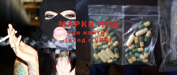 прущие грибы Михайловск