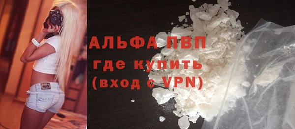 прущие грибы Михайловск