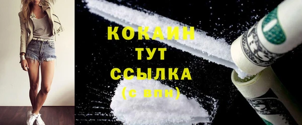 прущие грибы Михайловск