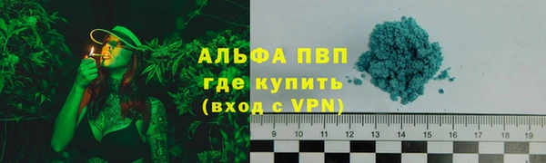 прущие грибы Михайловск