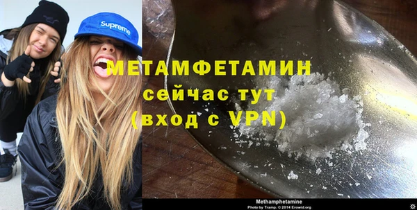 прущие грибы Михайловск
