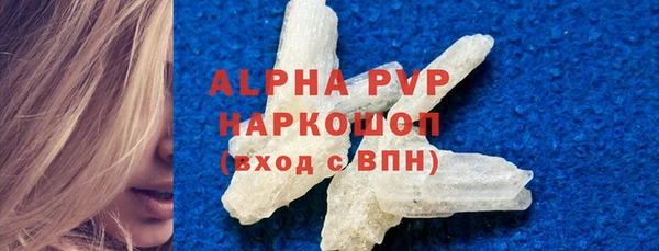 прущие грибы Михайловск