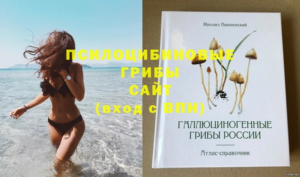 шишки Снежинск