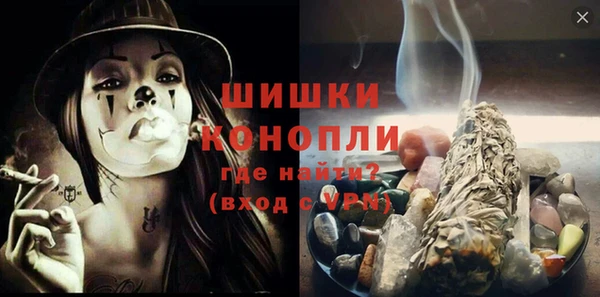 прущие грибы Михайловск