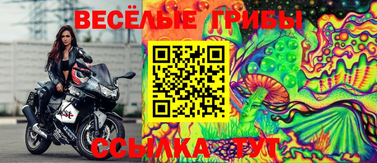 Галлюциногенные грибы Psilocybine cubensis  Крымск  Галлюциногенные грибы ЛСД 